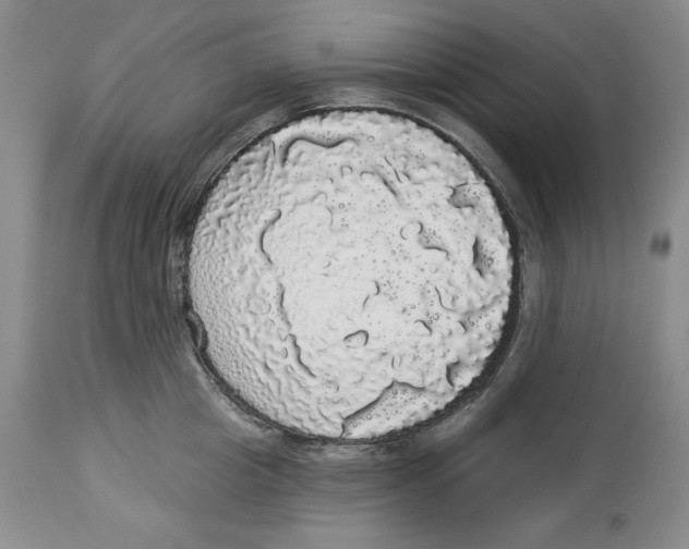 X0000113980857200910231706