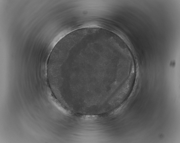 X0000113980858200910231706