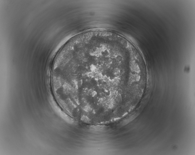 X0000113980859200910231706