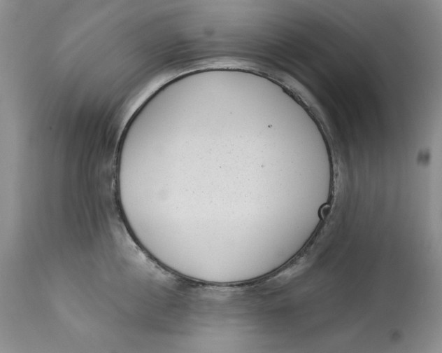 X0000113980860200910231706