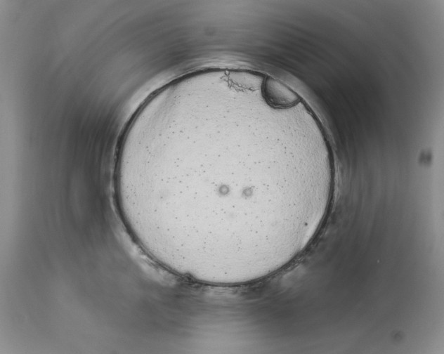 X0000113980861200910231706