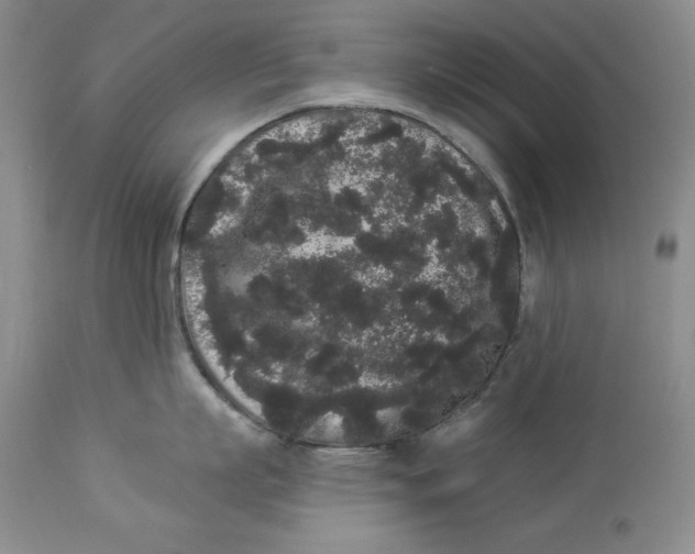 X0000113980863200910231706