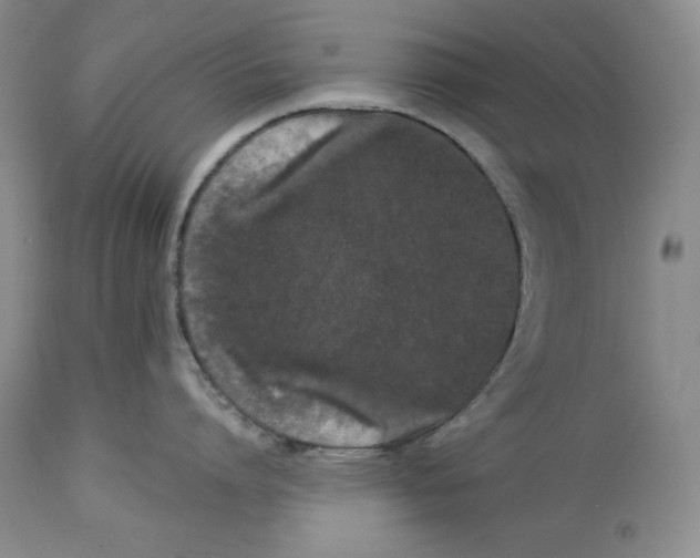 X0000113980864200910231706