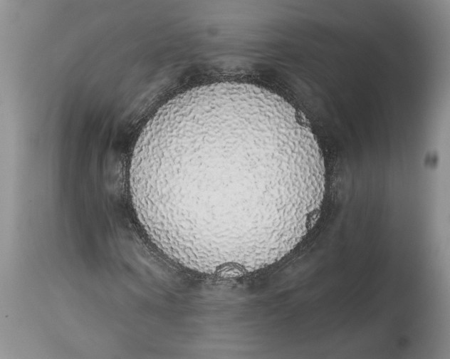 X0000113980866200910231706