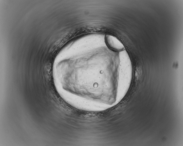 X0000113980867200910231706