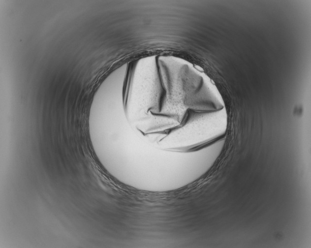 X0000113980868200910231706