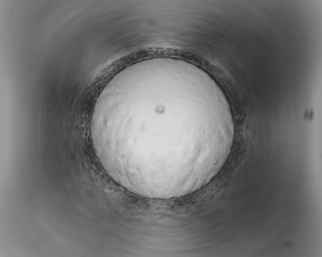 X0000113980870200910231706