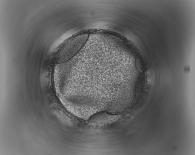 X0000113980872200910231706