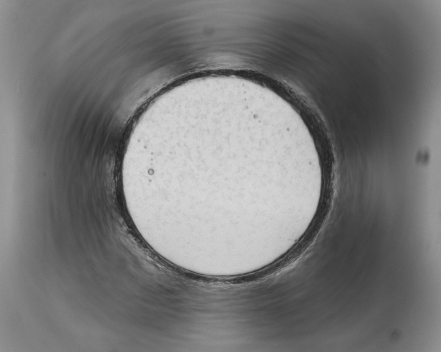 X0000113980873200910231706