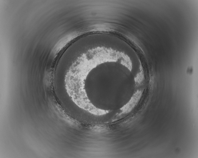 X0000113980874200910231706