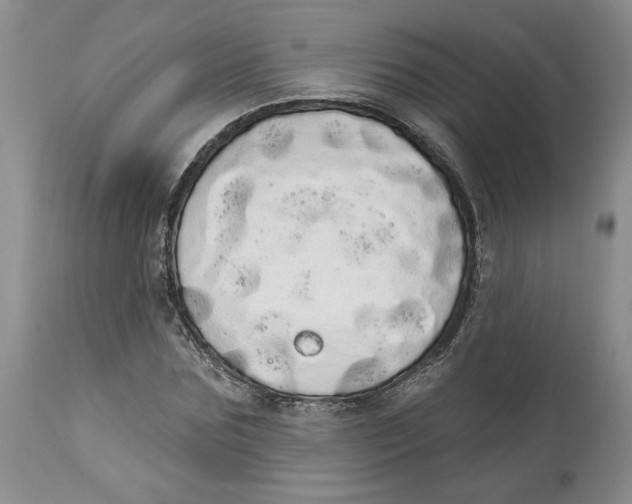 X0000113980875200910231706