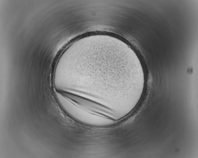 X0000113980877200910231706