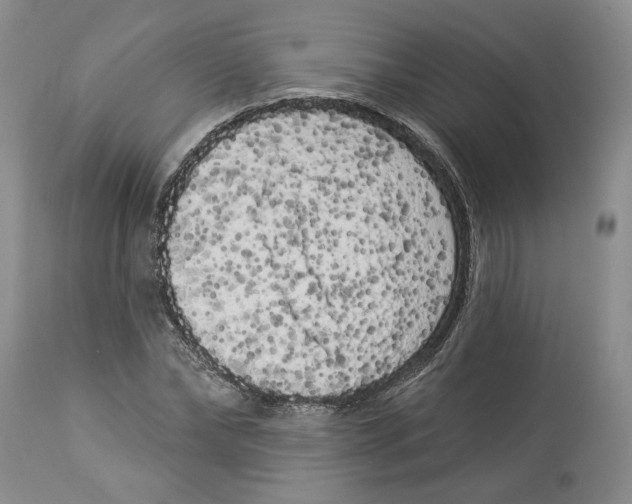 X0000113980878200910231706