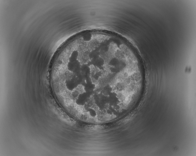 X0000113980879200910231706