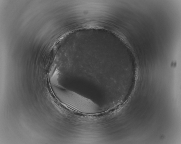 X0000113980881200910231705