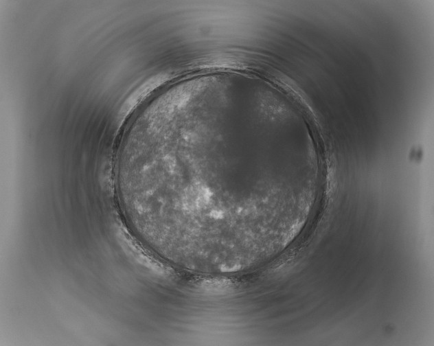 X0000113980882200910231705