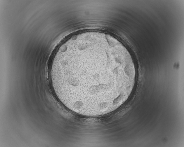 X0000113980883200910231705