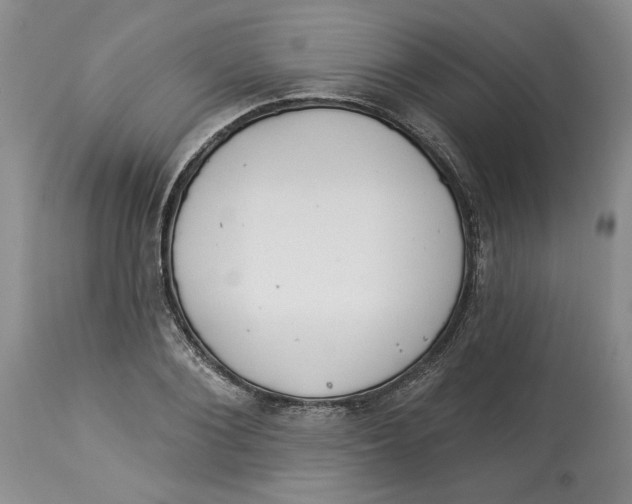 X0000113980884200910231705