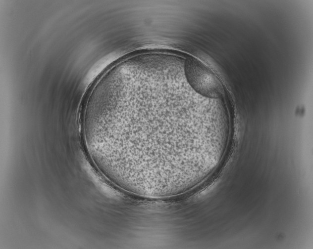 X0000113980885200910231705