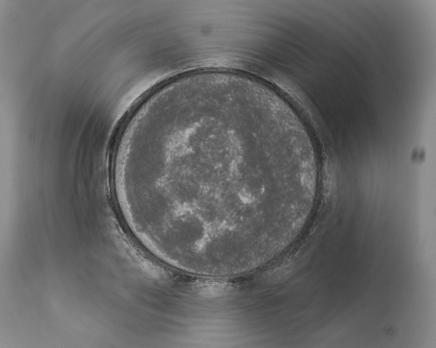 X0000113980886200910231705