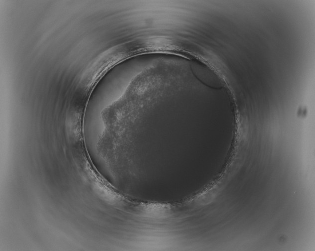 X0000113980889200910231705