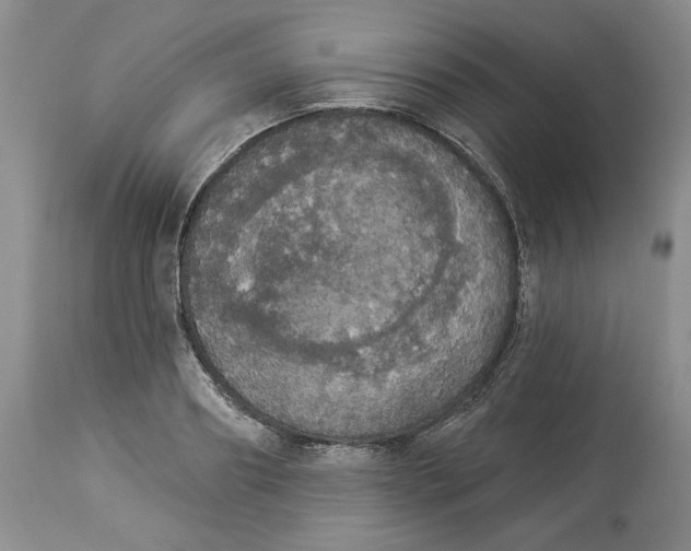 X0000113980890200910231705