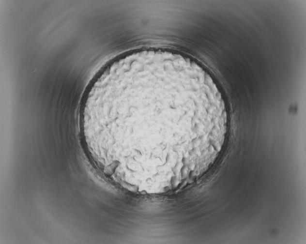 X0000113980891200910231705