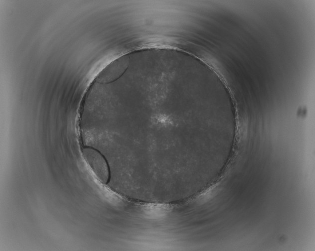 X0000113980893200910231705