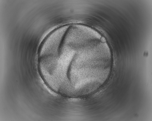 X0000113980894200910231705