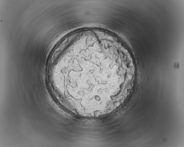 X0000113980895200910231705