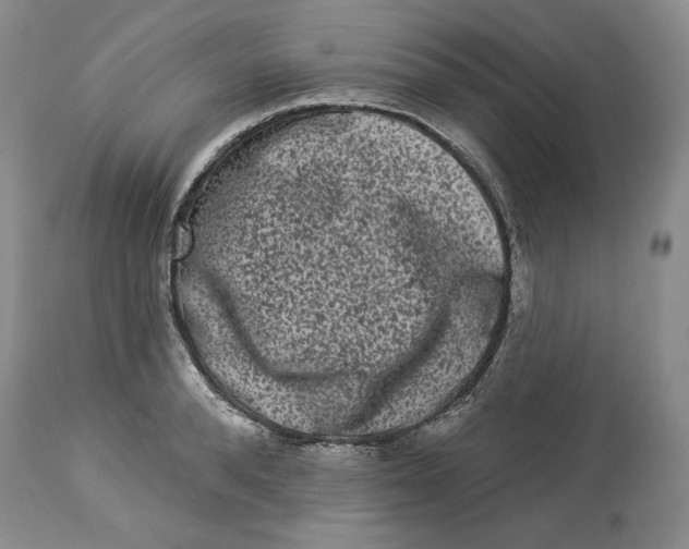 X0000113980896200910231705