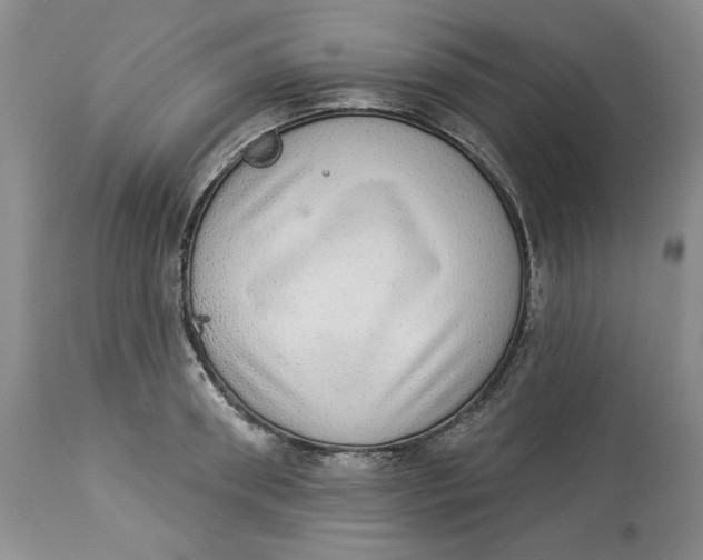 X0000113980898200910231705