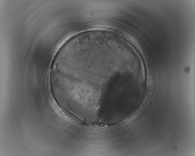 X0000113980899200910231705