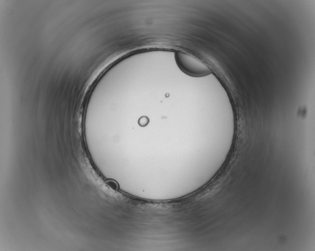 X0000113980900200910231705