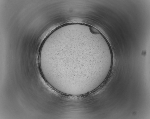 X0000113980901200910231705