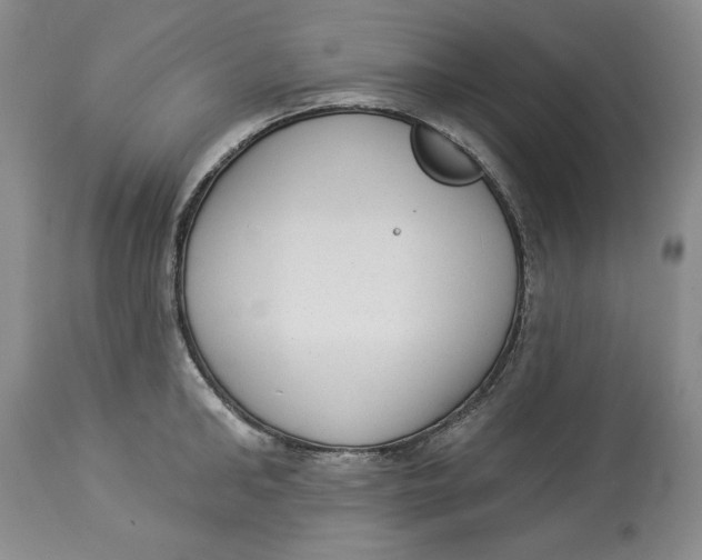 X0000113980902200910231705