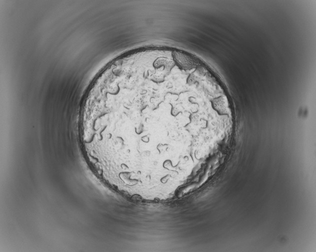 X0000113980903200910231705