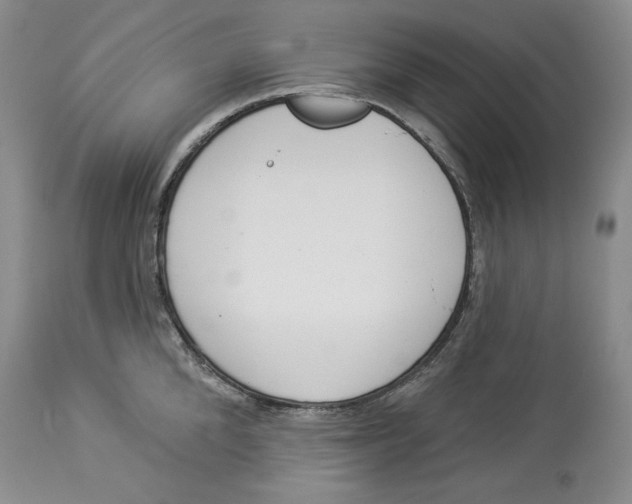 X0000113980904200910231705