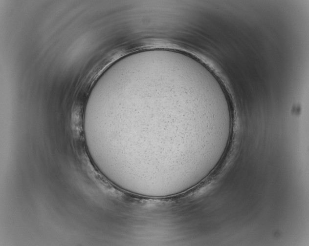 X0000113980905200910231705