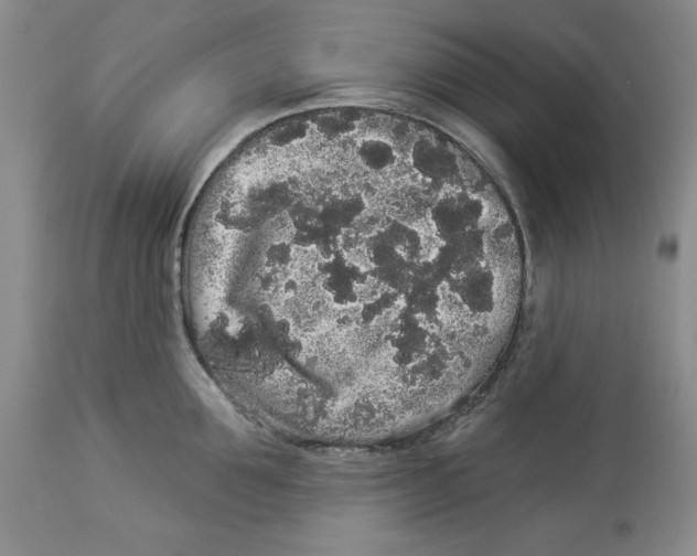 X0000113980907200910231705