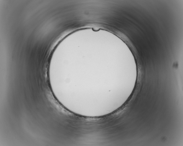 X0000113980908200910231705