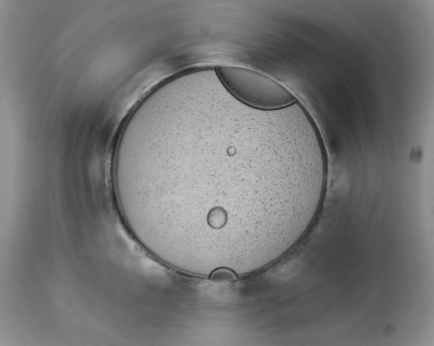 X0000113980909200910231705