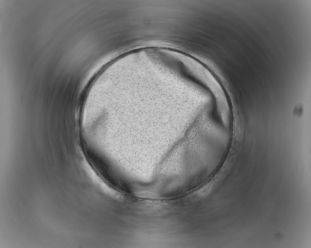 X0000113980910200910231705