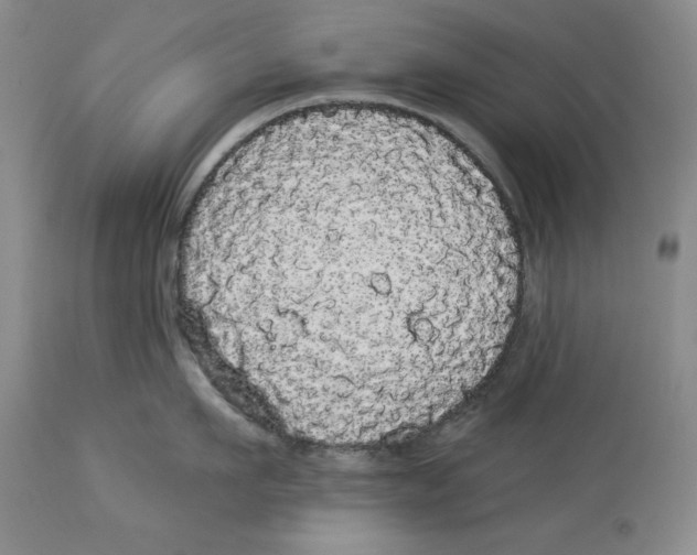 X0000113980911200910231705