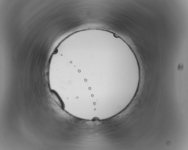 X0000113980912200910231705