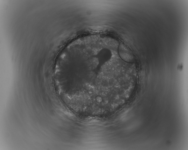 X0000113980913200910231704