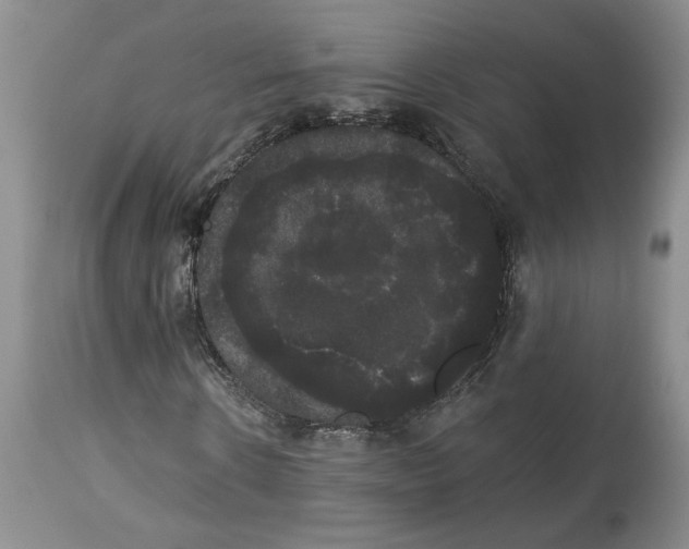 X0000113980914200910231704