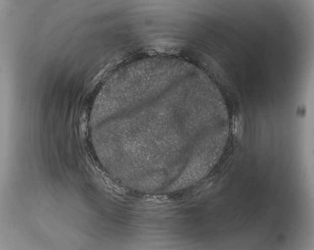 X0000113980915200910231704