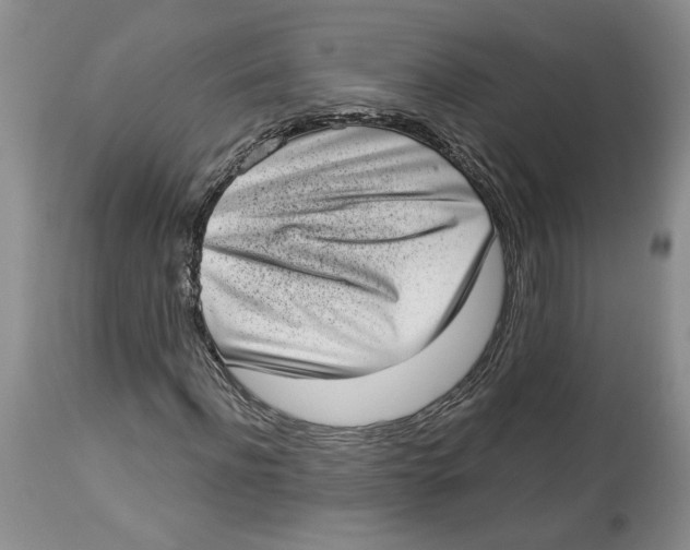 X0000113980916200910231704