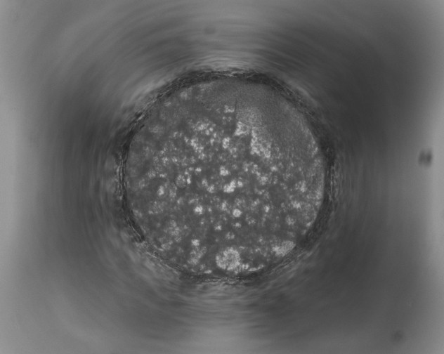 X0000113980917200910231704